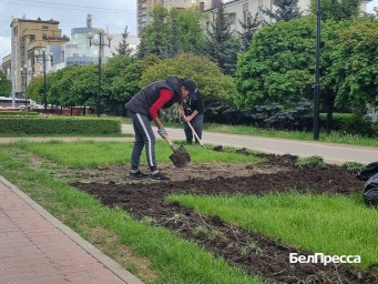 В Белгороде начали готовить клумбы и высаживать цветы к летнему сезону