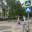 Дороги в Костроме оказались не готовы к новому учебному году