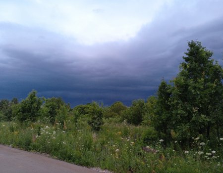 Жара и ливни: прогноз погоды на ближайшие дни Жара и ливни: прогноз погоды на ближайшие дни