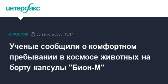 Ученые сообщили о комфортном пребывании в космосе животных на борту капсулы "Бион-М"