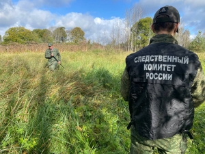 Криминалисты СК России обнаружили массовое захоронение жертв времен Великой Отечественной войны