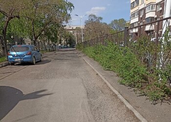 В Благовещенске после обращения жителей очистят заросший тротуар возле дома «Берег удачи»