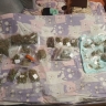 В Саранске любительницу марихуаны осудили условно на 3 года и обязали пройти лечение от наркомании