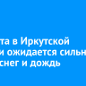 12 марта в Иркутской области ожидается сильный ветер, снег и дождь