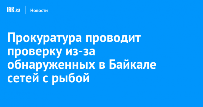 Прокуратура проводит проверку из-за обнаруженных в Байкале сетей с рыбой