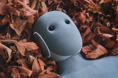 Открыты предзаказы на робота-дворецкого — им может управлять как ИИ, так и реальный оператор