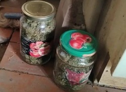 Пойман горожанин с крупной партией марихуаны Пойман горожанин с крупной партией марихуаны