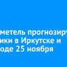 Снег и метель прогнозируют синоптики в Иркутске и пригороде 25 ноября
