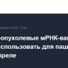 Противоопухолевые мРНК-вакцины начнут использовать для пациентов в марте-апреле