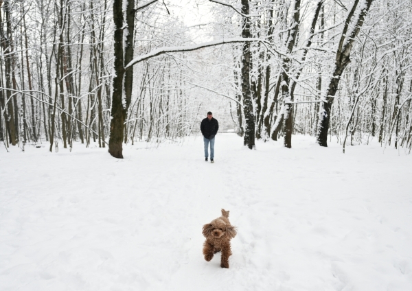Синоптик спрогнозировала умеренный снегопад 30 и 31 декабря