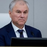 Вячеслав Володин проводит опрос о необходимости введения самозапрета на платежи в онлайн-играх