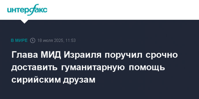 Глава МИД Израиля поручил срочно доставить гуманитарную помощь сирийским друзам