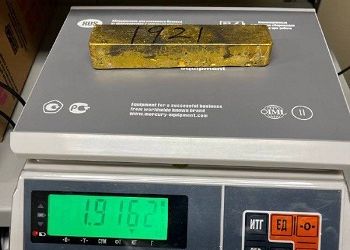 В Приамурье попросили заменить наказание китайцу за контрабанду золота