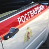 В Саранске четыре горожанки, перебрав с алкоголем, устроили погром в кафе