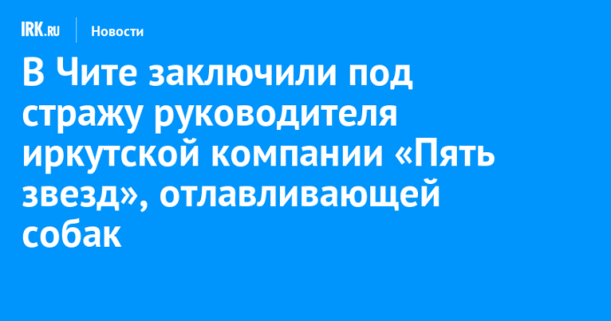 В Чите заключили под стражу руководителя иркутской компании «Пять звезд», отлавливающей собак