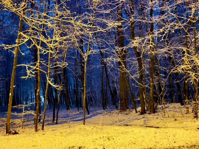 Какая погода ожидает жителей Пензенской области 12 декабря? Какая погода ожидает жителей Пензенской области 12 декабря?