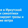 23 июня в Иркутской области синоптики прогнозируют грозы и усиление ветра