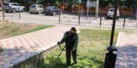 В Астрахани озеленяют улицу Победы и набережную: тысячи новых кустарников этой осенью