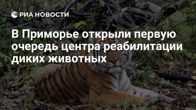 В Приморье открыли первую очередь центра реабилитации диких животных
