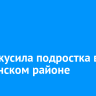 Змея укусила подростка в Слюдянском районе
