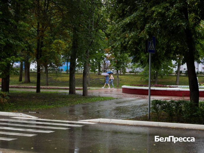 Белгородцев предупредили о дождях и грозах с сильным ветром