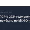 Группа ЛСР в 2024 году увеличила чистую прибыль по МСФО на 1%