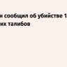 Пакистан сообщил об убийстве 133 афганских талибов