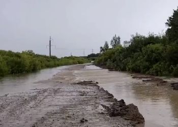 В Приамурье поднявшаяся из-за дождей река подтопила приусадебные участки