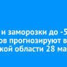 Дождь и заморозки до -5 градусов прогнозируют в Иркутской области 28 мая