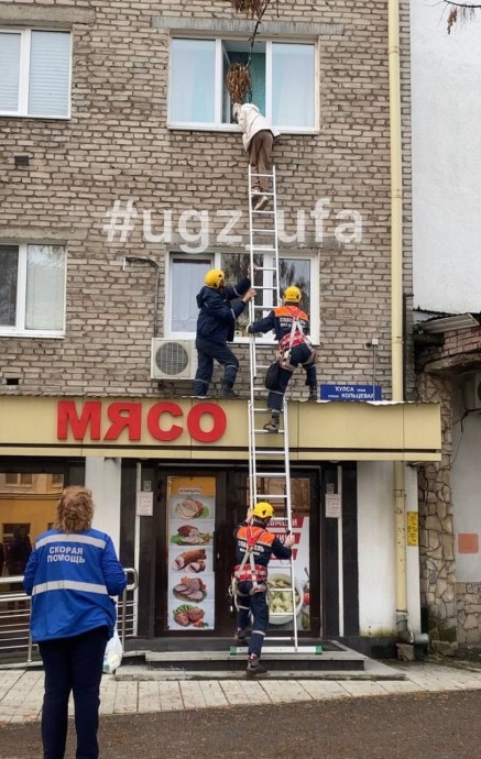 В Уфе спасатели пришли на помощь повисшей на карнизе девушке