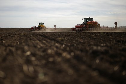 Выпуск сельхозтехники в России рухнул