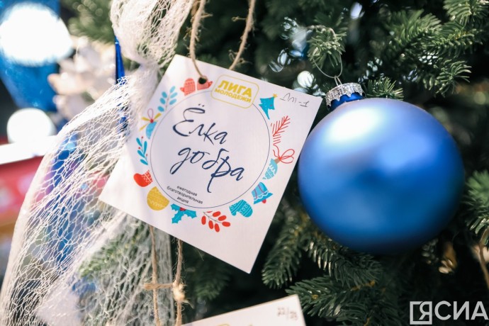 В Якутске началась благотворительная акция «Елка добра» В Якутске началась благотворительная акция «Елка добра»