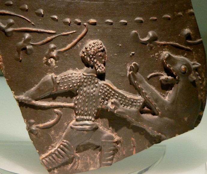 В Сербии нашли останки медведя-участника боёв с гладиаторами