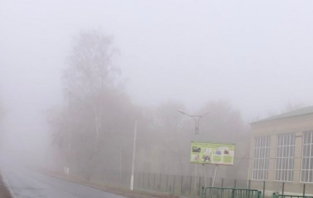 13 ноября в Мордовии в ночные и утренние часы ожидается туман - МЧС