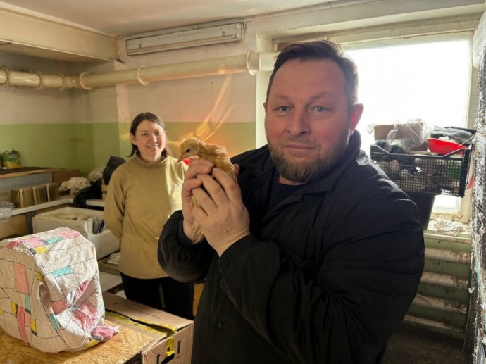 Вороны «склевали» городской бюджет