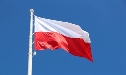 В Польше начнется производство противопехотных мин, часть из которых отправят Киеву