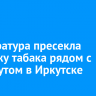 Прокуратура пресекла продажу табака рядом с институтом в Иркутске