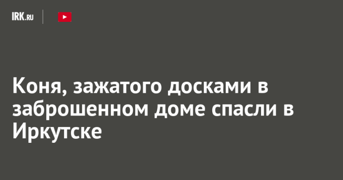 Коня, зажатого досками в заброшенном доме, спасли в Иркутске