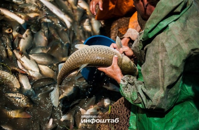 Сеть астраханских магазинов «Светофор» признана виновной в нарушении техрегламента