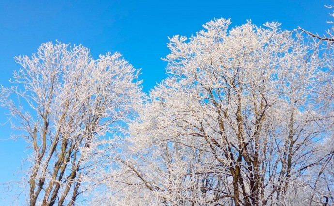 Ясно и +1°C днём: прогноз погоды в Сахалинской области на 10 марта