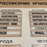 Треть национальных языков, которым учат российских школьников, могут исчезнуть
