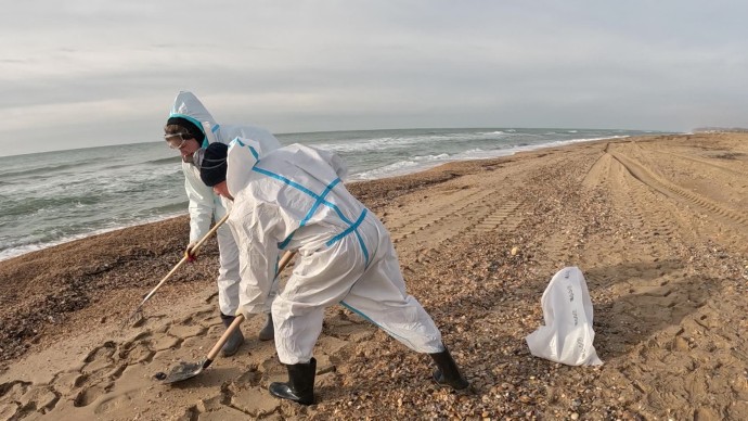 Год после разлива мазута: что происходит с Черным морем сейчас Год после разлива мазута: что происходит с Черным морем сейчас