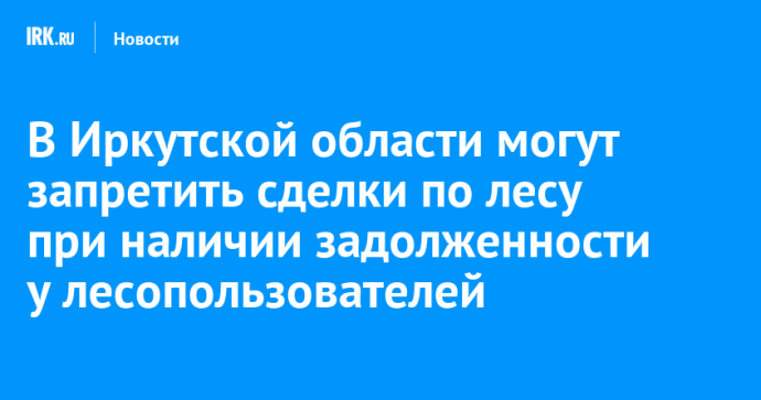 В Иркутской области могут запретить сделки по лесу при наличии задолженности у лесопользователей