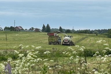 Заготовка кормов продолжается в Вологодской области