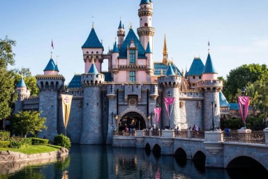 Диснейленд завалило мусором после забастовки уборщиков