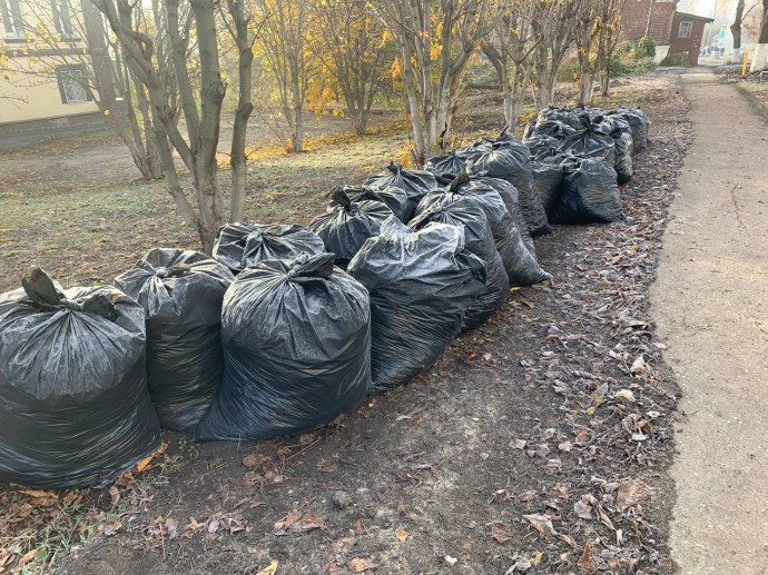 Пензенскую область готовят к Новому году: стартовал масштабный месячник чистоты