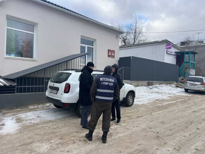 В Улан-Удэ провели «собачий» рейд В Улан-Удэ провели «собачий» рейд