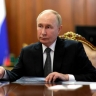 Путин поручил предусмотреть субсидии экспортерам лесной продукции через порты