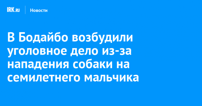 В Бодайбо возбудили уголовное дело из-за нападения собаки на семилетнего мальчика