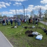 На Ржевской площади появился яблоневый «Сад памяти»